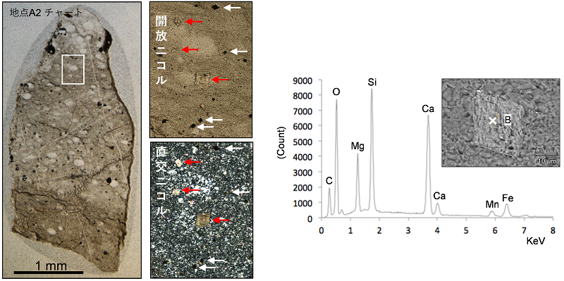  図４ ：地点A2の土石流堆積物から産した0.50-4.00mmサイズの灰色チャートのSEM-EDS分析の結果。菱形粒子の結果。 