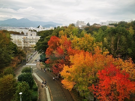   「Vibrant tapestry of autumn hues on campus」  応募者名：@54m1k5hy4さん 紅葉の色彩が美しい作品。背景には高低差のある静岡キャンパスを上手に捉えています。